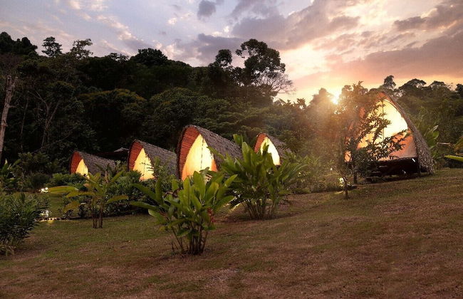 Esquipulas Rainforest - Foto 8