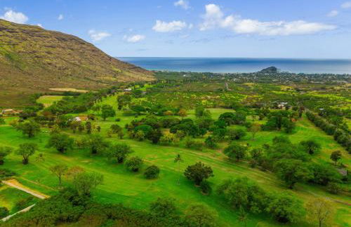 Kalo Homes - Moana Beach Cottage - Foto 53