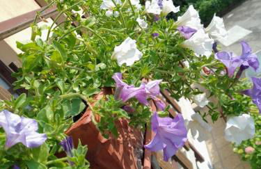 Residence Giardino - Photo 48