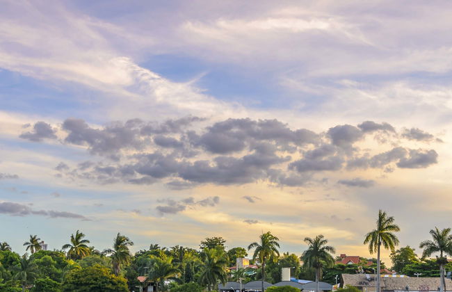 Tour por Belo Horizonte - Foto 1