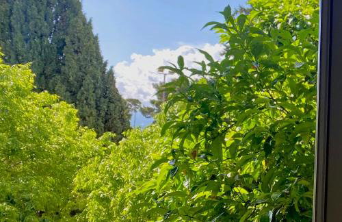 Beach and Green - Photo 8