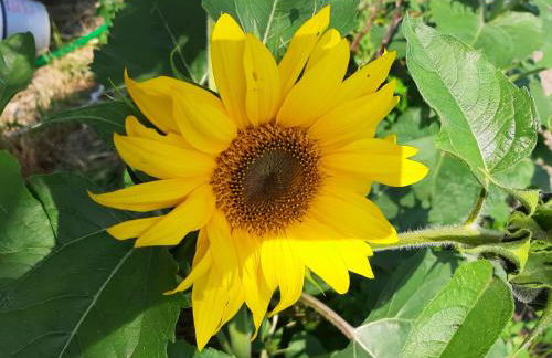 La Maison de Joanna 2 - Foto 44