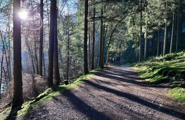 Holiday Home in Ardennes With Scenic Terrace - Photo 24