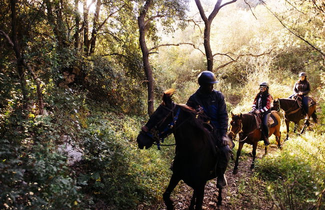 Agriturismo Pantalica Ranch - Foto 14