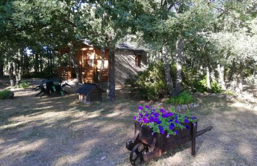 Cabañas Vallecino - Foto 6