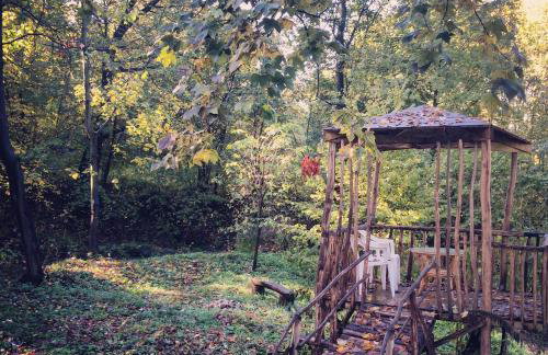 Zamek w Dzięgielowie - Foto 38