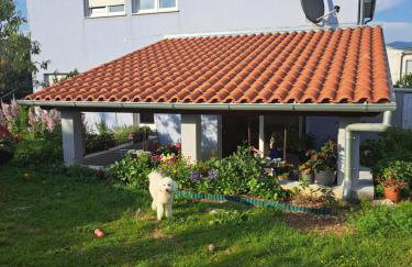 Papa's place - Foto 23