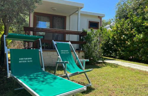 Agriturismo Antichi Ulivi - Foto 2