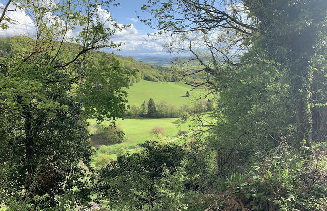 Apartment Schwarz Waldperle - Foto 24