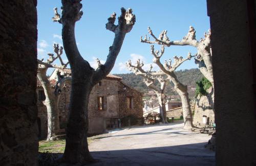 La Provence authentique à 30 minutes des plages - Foto 16