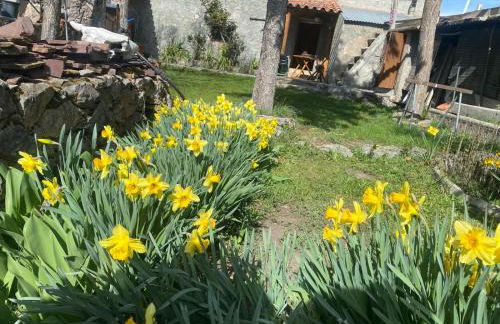 Casa Sarrano - Foto 54