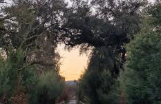 Rustic Retreat-Country House - Foto 22