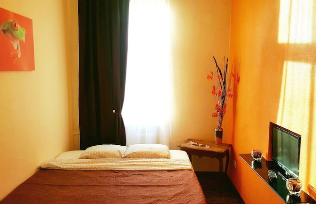 Orange Studio - Photo 58