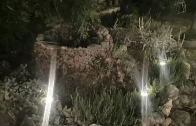 La Mandra - Photo 19