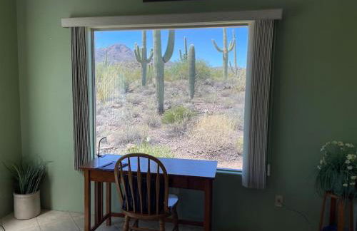 Tucson Mnt Foothills Saguaro Bliss - Foto 24