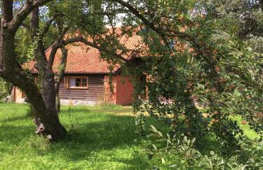 Mamrowisko - Foto 55