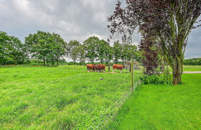 Farmhouse in De Heurne With Animal Farm - Foto 37