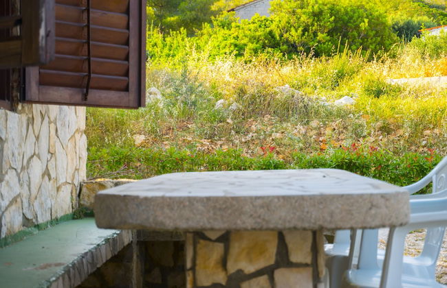 Victorious VIScovery Green - Foto 23