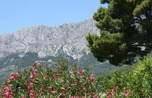 Apartments by the sea Zaostrog, Makarska - 6799 - Foto 31