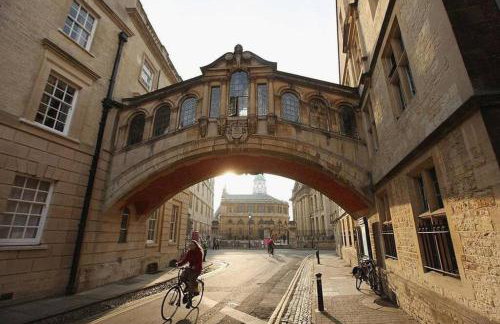 The Green Bus and the lodge - Foto 29