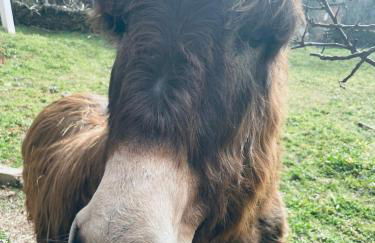 Sweet Quintanilha - Foto 35