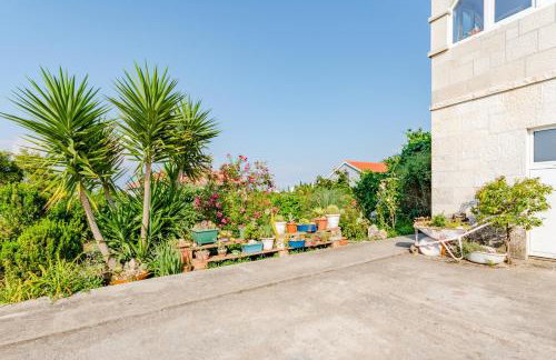 Studio Vijađ - Photo 23