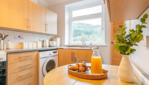 The VIEW Spacious Apartment In Afan Forest Bike Park By STAE-Homes - Foto 2, stove