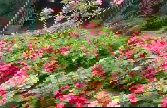 Riyan Apartments - Foto 34