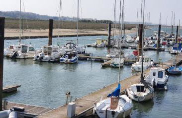 RACINES MARINES - Foto 21