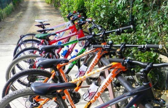 Torre Macauda - Foto 19