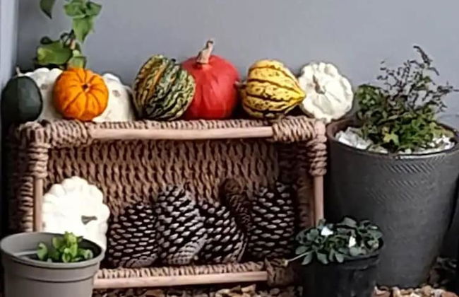 Lovely, Spacious 1-bed Apartment in Poole - Foto 10