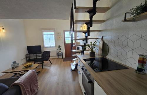 T1 bis Proche Cern Parking Privé - Foto 7