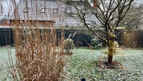 Ferienhaus Kleine Auszeit 25510 - Foto 4