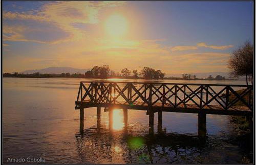 Lo Raconet - Foto 28