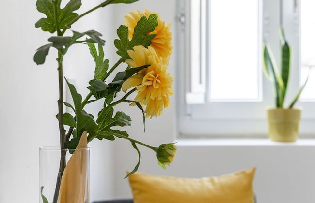 Luxury 5BR Apt Castle Views in HeartofLisbon - Foto 81