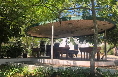 Apartamento 157, Pedras d’el Rei - Foto 24