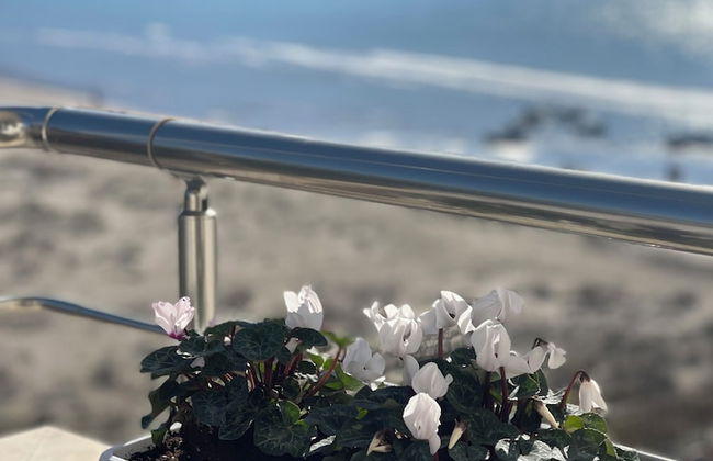 Seaview 2 Apartments Rental Vlore - Photo 10