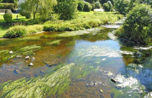 Estate in Landeleau Near Aulne River - Foto 58