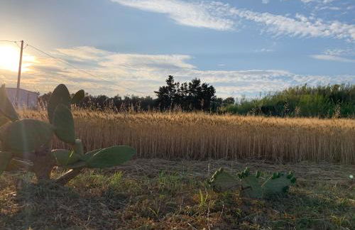 Relais Masseria Sant'Antonio - Foto 43