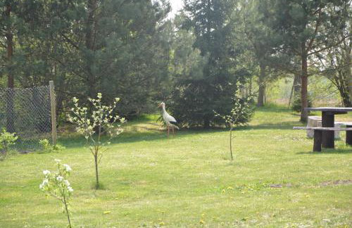 Domki "Bociania Ostoja" - Foto 11