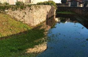 La tour du logis - Foto 18