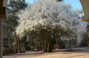 Agroturystyka Traperska Osada - Foto 78