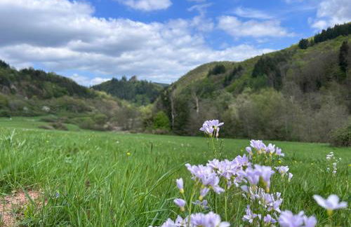 Happy Place Ferienwohnung mit Moselpanoramablick, Dachterrasse und Sauna - Foto 26