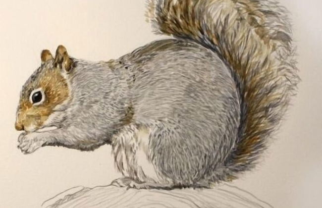 Riverside Cottage at Logwood Mill - Foto 60