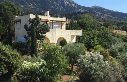 Carpe Diem - Photo 20