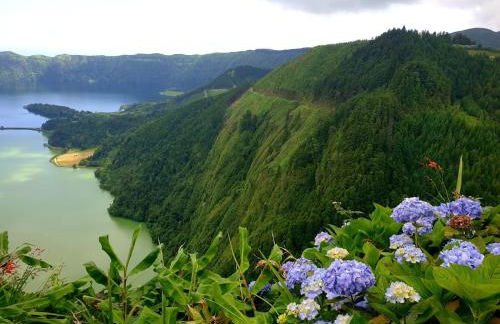 Vila Pilar Praia - Rural Apartment in the countryside of São Miguel - Photo 54