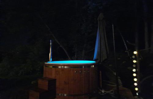 Żabie Dworki Witów Luxury Chalets & SPA - Foto 64