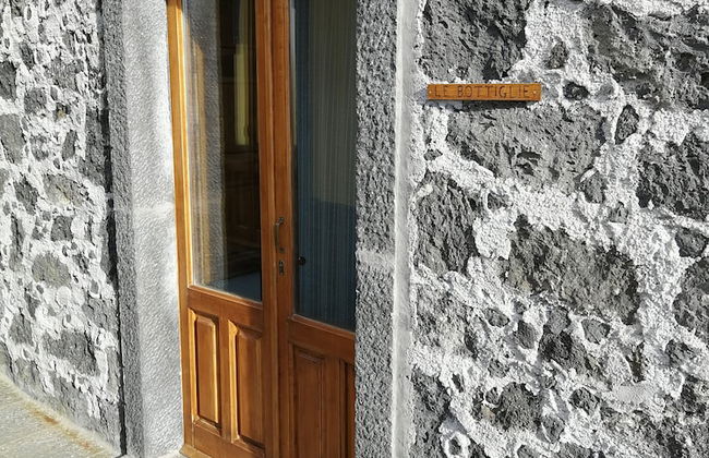 Viola nel Parco - Foto 22