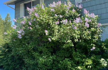 Beautiful downtown Anchorage 1 - Photo 15