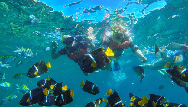 La Puerta River Horseback Riding + Kayaking Tour - Photo 4